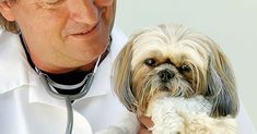 a dog being held by a man in a white lab coat with a stethoscope