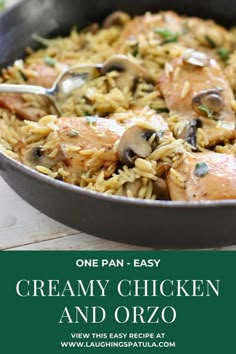 one pan easy creamy chicken and orzo with mushrooms is an easy weeknight meal