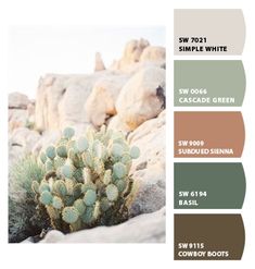 the color scheme for this desert - like landscape is green, brown, and white