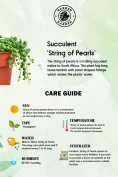 an info sheet describing the different types of plants and how they are used to grow them