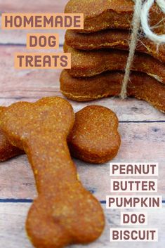 homemade dog treats with peanut butter and pumpkin dog biscuits