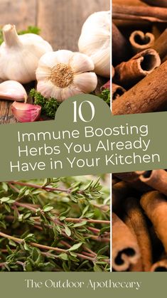 herbs and spices with the words 10 immune boostering herbs you already have in your kitchen