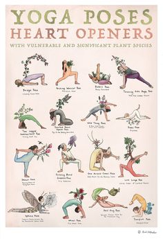 an old poster shows yoga poses for heart openers, with the names and pictures below