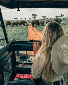 a woman in a safari vehicle watching elephants