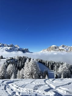 snow covered trees and mountains in the distance