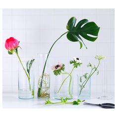 an image of vases with flowers in them on the web page, which includes photos and text