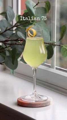 a glass filled with liquid sitting on top of a window sill next to a plant