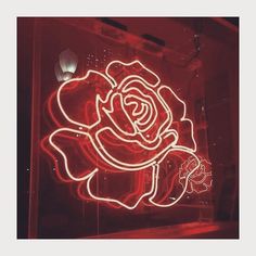 raindrops on roses and girls in white dresses tags #aesthetic #aesthetics #tumblr #bts #sfs #like #gain #gainfollows #fff #red #saverockandroll #quotes #tumblrquotes #redesthetic #neon #sign #roses #rose #redroses #panicatthedisco #afycso Gina Lorena, Everything Is Blue, All Of The Lights, Orange Aesthetic, Neon Art, Keep It Real, Aesthetic Colors, Red Wallpaper