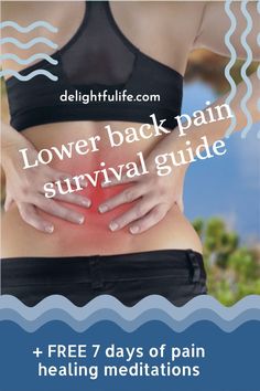 the lower back pain survival guide