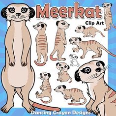 the meerkat clip art book is designed to look like it has many different types of