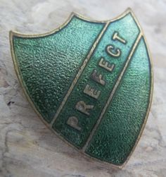 a green police badge sitting on top of a rock