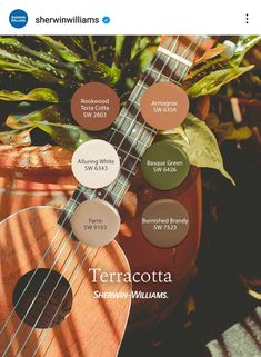 a ukulele sitting next to a potted plant with the words terracotta on it