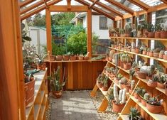 a room filled with lots of potted plants inside of a wooden greenhouse roof area