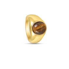 Stainless Steel Tiger Eye Stone Danielle Jonas, Tigers Eye Ring, Tortoise Ring, Family Jewels, Jewelry Lookbook, Eye Ring, Tiger Eye Stone, Eye Stone, Gifts For Brother