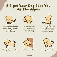 six signs your dog sees you as the aloha info poster with instructions on how to use it