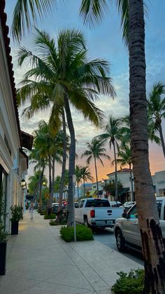 cars parked on the side of a street next to palm trees and buildings at sunset