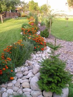 a garden with rocks and flowers in it