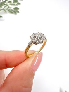 a person holding a ring in their hand with a plant behind it and white background