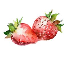 two strawberries painted in watercolor on white background royalty photo