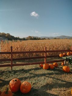 pumpkins are sitting on the ground in front of a wooden fence and field with corn