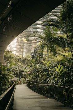 a walkway in the middle of some trees and plants