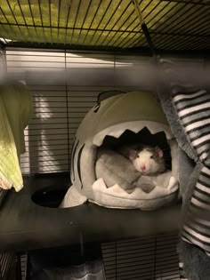 a white rat in a shark shaped bed on top of a shelf next to corn cobs