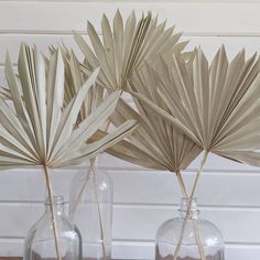 three glass vases with palm leaves in them