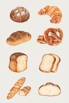 an illustration of breads and loaves on a white background