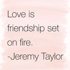 there is a quote on love that says, love is friendship set on fire