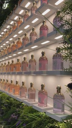 the shelves are filled with bottles of perfumes in different colors and sizes, all lined up against each other