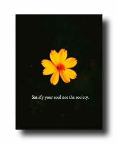 a yellow flower with the words satisfy your soul not the society