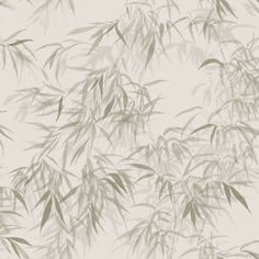 the branches of a bamboo tree are shown in brown and beige tones on a white background