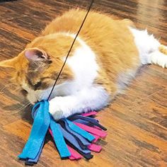 an orange and white cat laying on top of a wooden floor next to a string