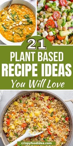 the best plant based recipe ideas you will love