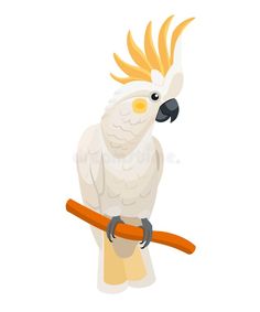 a white cockatoo sitting on a branch with yellow feathers and orange beaks royalty illustration