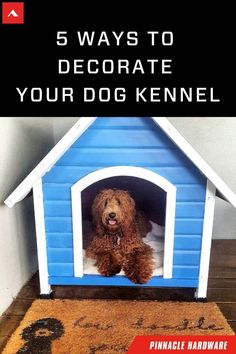 a brown dog sitting in a blue dog house with the words 5 ways to decorate your dog kennel