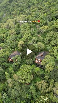 an aerial view of some cabins in the middle of a forest with lots of trees