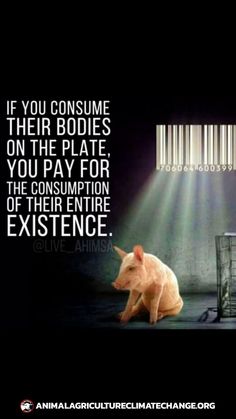 a pig sitting on the ground in front of a lamp with words above it that read if you consume their bodies on the plate, you pay for the consumption of their entire