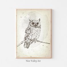 an owl sitting on top of a branch in front of a white wall with the words nire valley art written below it