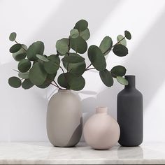 three vases with plants in them sitting on a counter top next to each other