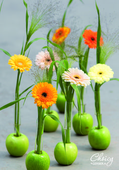 four green apples with flowers in them