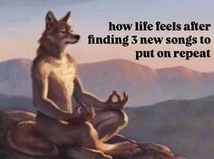 a dog sitting on top of a rock with the words how life feels after finding 5 new songs to put on repeat