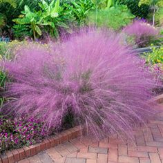 purple flowers are in the middle of a brick garden path and some plants on either side