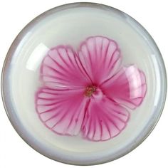 a pink flower floating in a white bowl