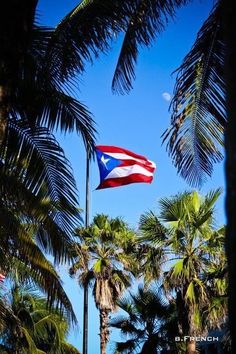 an american flag flying in the air between palm trees