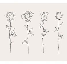 four different types of flowers are shown in black and white