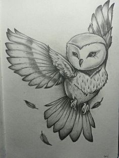 a drawing of an owl with wings spread