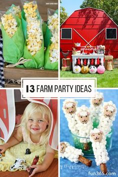 farm party ideas for kids and adults