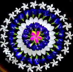 a blue and white flower is in the middle of a circle