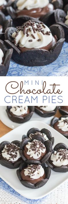 mini chocolate cream pies on a white plate